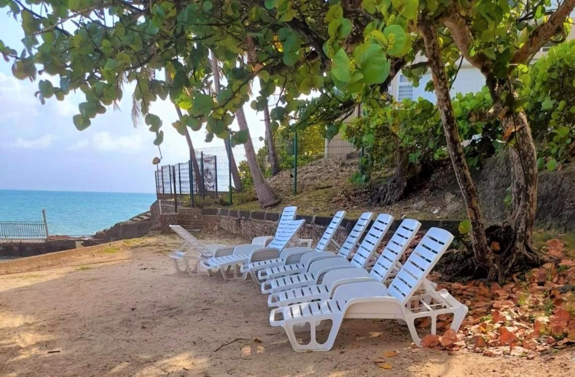 Ilet Bleu Studio Cosy Rdc Vue Mer Et Jardin - Acces Direct Plage Le Gosier  Dış mekan fotoğraf