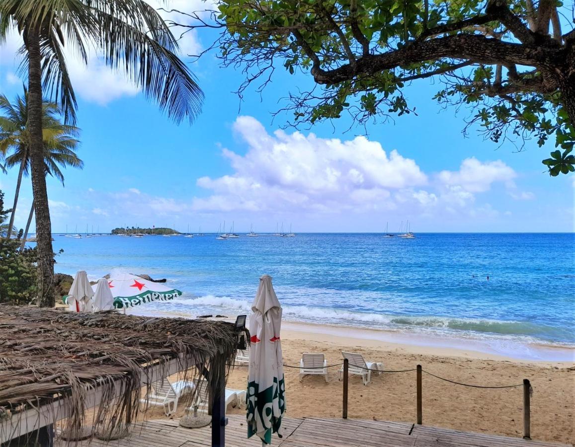 Ilet Bleu Studio Cosy Rdc Vue Mer Et Jardin - Acces Direct Plage Le Gosier  Dış mekan fotoğraf